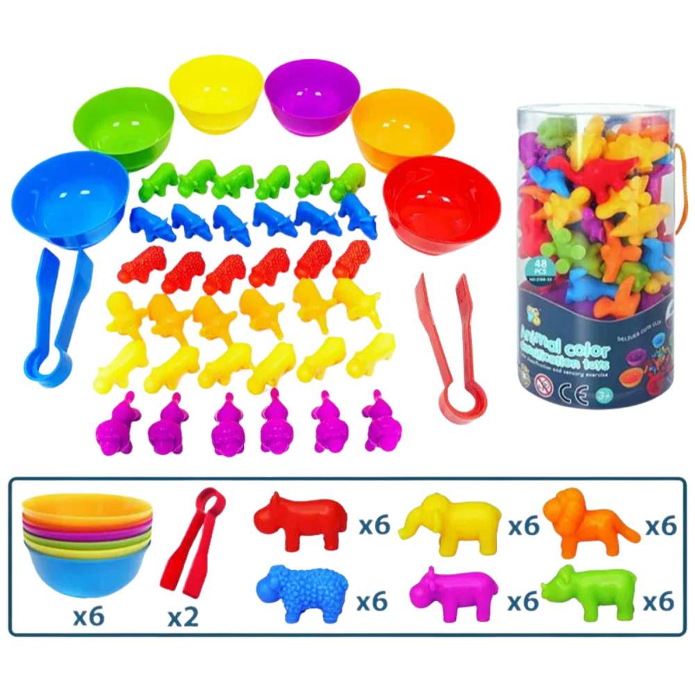 DinoMatch | Montessori Dinosaur Sorting