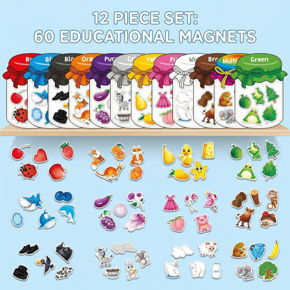 MagniSort Fridge Magnet Colour Sorting Toddler 2